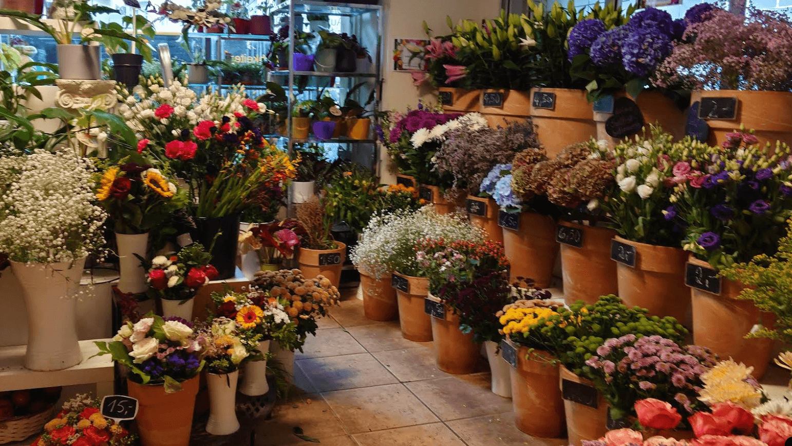 Gala Blumen