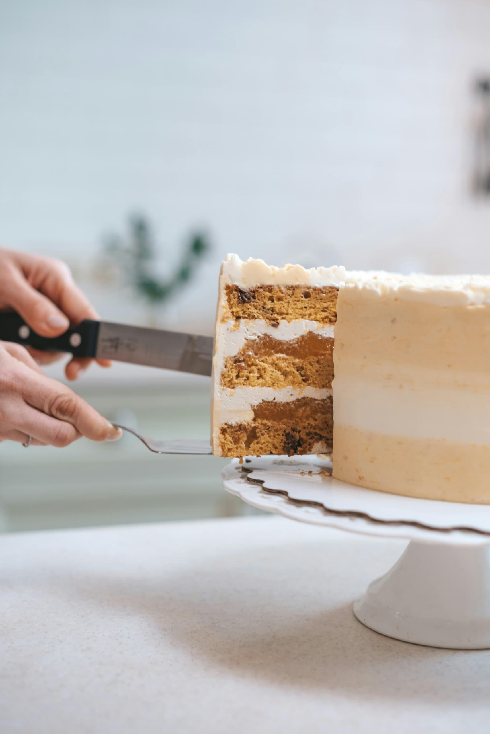 Sweet Nation Co & Pastry Academy