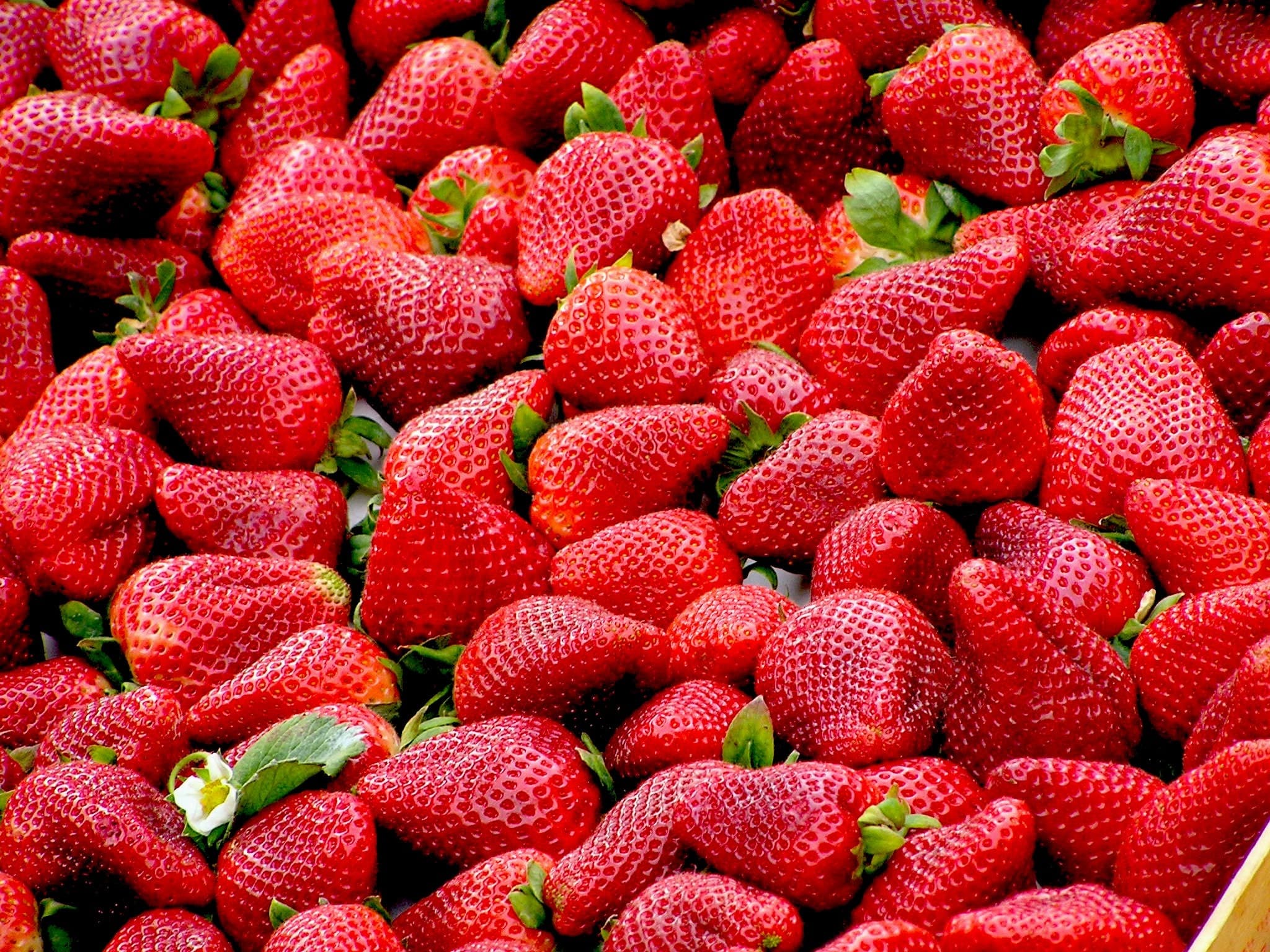 Frutería Hermanos San Vicente