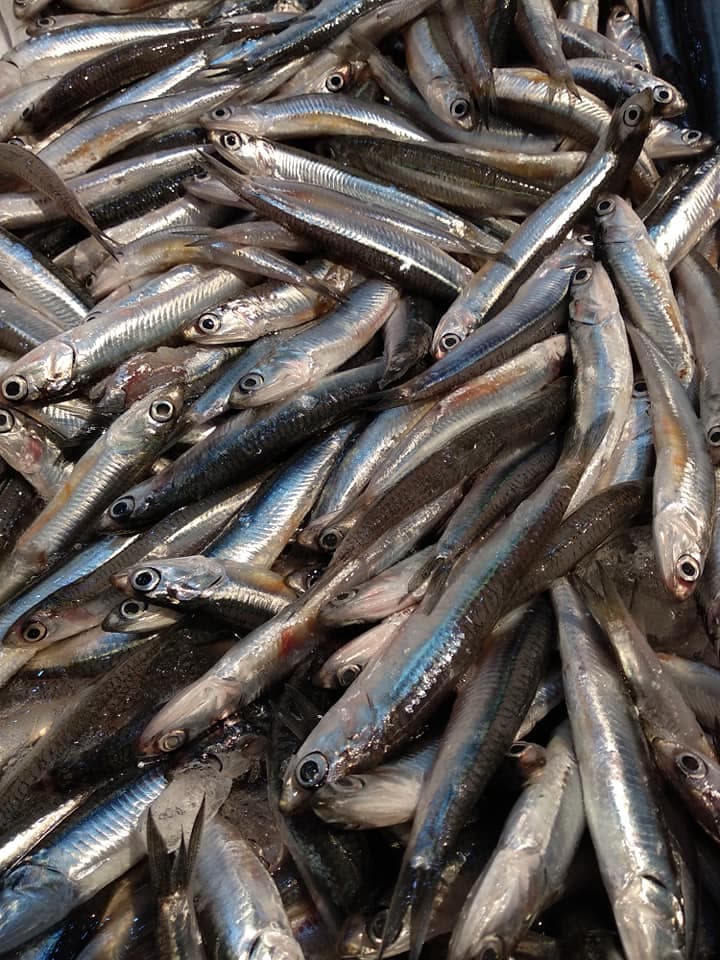 Pescados y Mariscos Guzmán