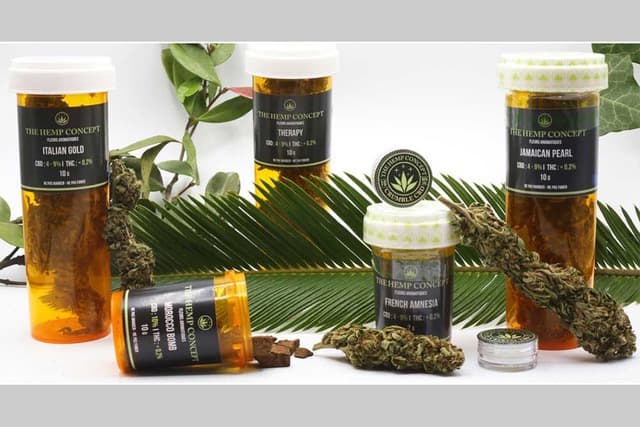 The Hemp Concept - Lyon