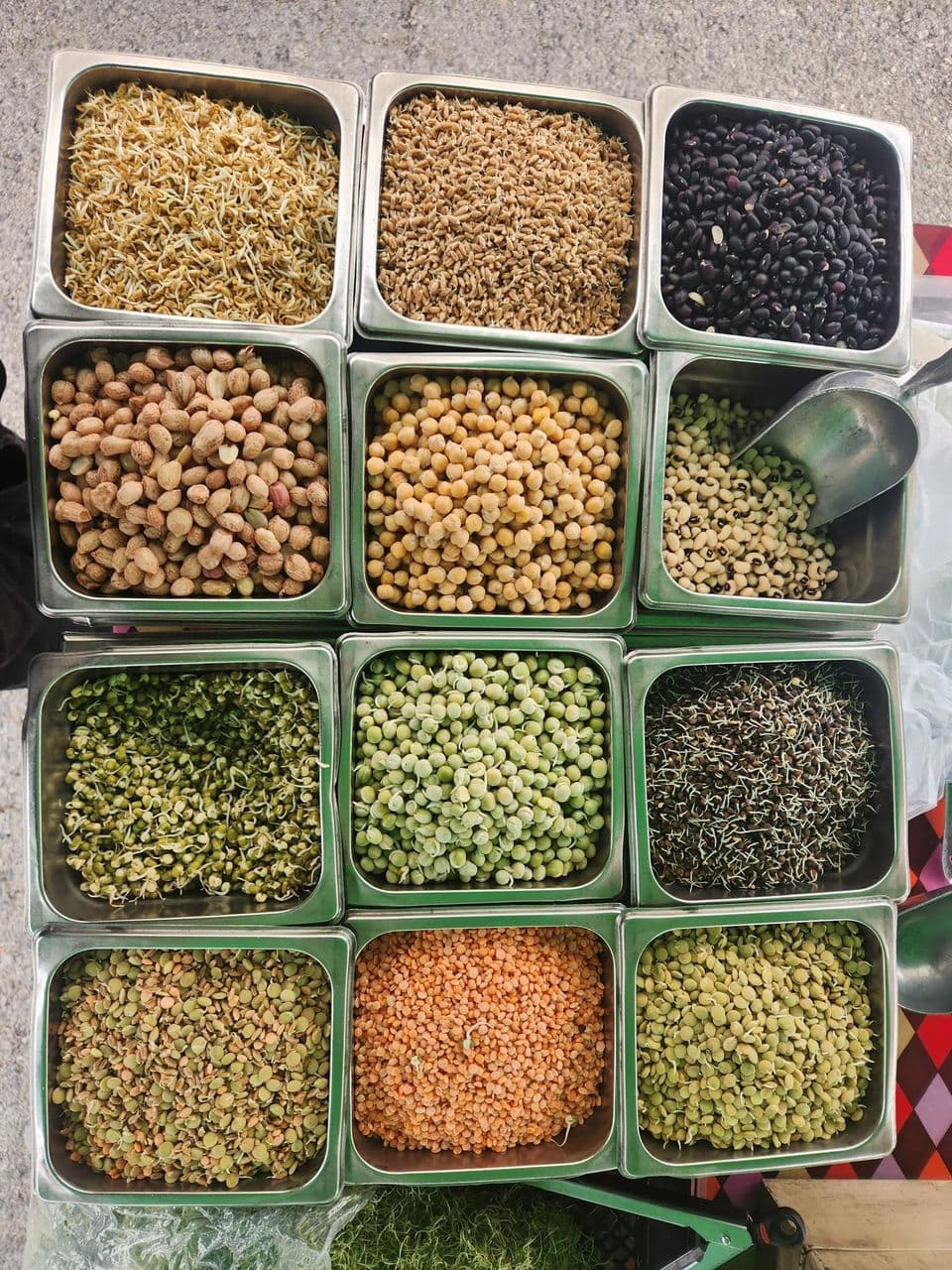 Bolaño's Family Sprouts