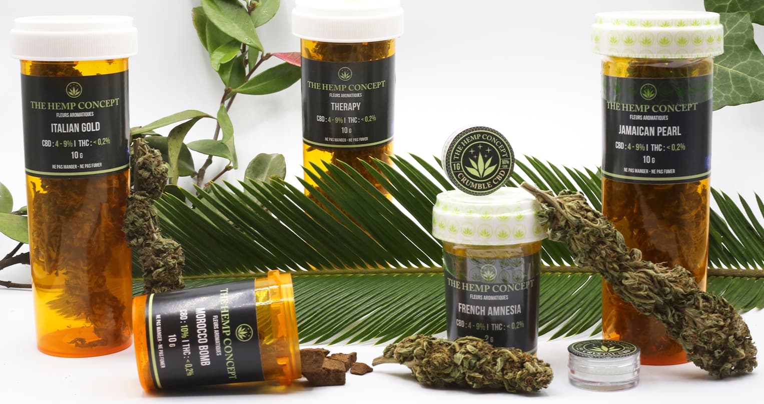 The Hemp Concept - Montpellier Abrivado